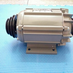 1Set AC220V Motor with Both Pulleys for Watchmaker Lathe
